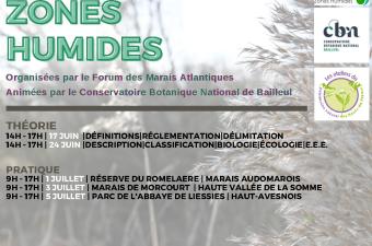 Journées d'initation à la flore des zones humides 