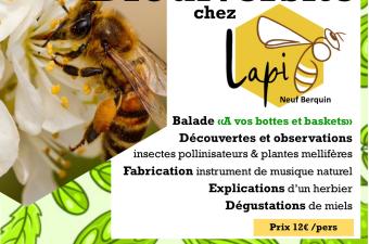 "Rendez-vous biodiversité" chez Lapi à Neuf-Berquin (Nord)