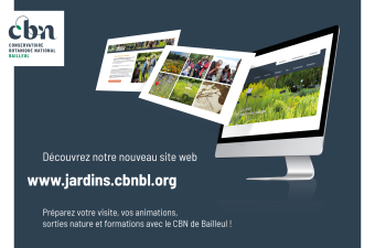 Un nouveau site web !