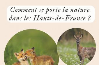 Conférence : "Comment se porte la nature dans les Hauts-de-France" à la médiathèque de Nieppe (Nord)
