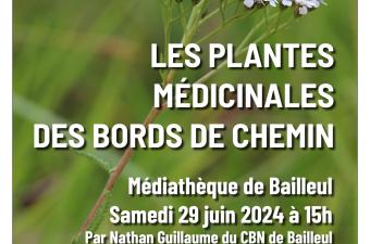 "Les plantes médicinales des bords de chemin" à la médiathèque de Bailleul 