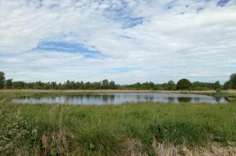  Sortie nature « Les richesses des Marais de Sacy » (Oise)
