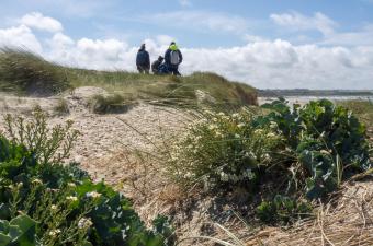 Initation du PNM EPMO à la recherche et au suivi de deux plantes protégées