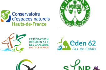 Digitale2 : 36 800 nouvelles données d'observation flore/habitat sur la période de mai à juin 2024