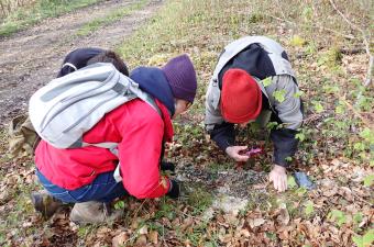 Deuxième collectif lichens des Hauts-de-France