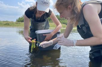 Accompagnement de chercheuses de l'Université de Rostock 