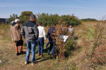 Une journée pour sensibiliser au Végétal local à Roye (Somme)