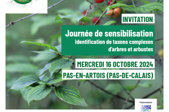 Pépiniéristes et récolteurs de Végétal local® : une journée de sensibilisation à l’identification de taxons complexes d’arbres et arbustes
