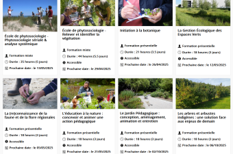 Notre catalogue de formations en ligne est ouvert !