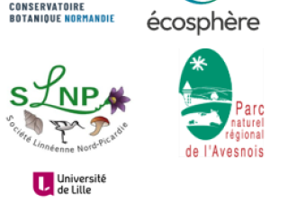  66 000 nouvelles données d'observation flore/habitat sur Digitale2 (septembre et octobre 2024)