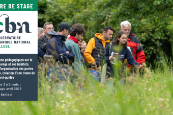 Offre de stage : "Animations pédagogiques sur la flore sauvage et ses habitats, appui à l’organisation des portes ouvertes, création d’une trame de visite semi-guidée"