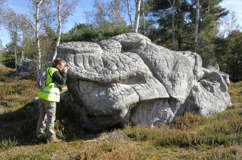L'inventaire des lichens des Hauts-de-France est en ligne !