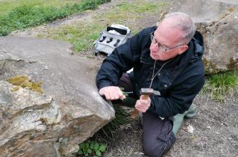 Mise à jour du Catalogue des lichens de France : contribution du CBN de Bailleul