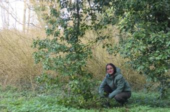 Arrivée de Cassandre en stage au siège 