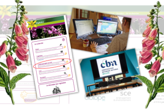 Formation à l’enregistrement en ligne de vos données d’observations sur la flore sauvage des Hauts-de-France