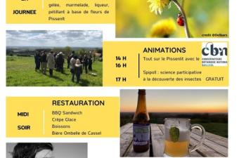 Evènement Fête du Pissenlit - 26 avril 2025 (Nord)