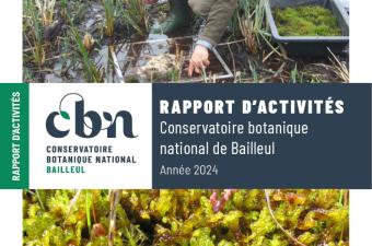 Le rapport d'activités 2024 est en ligne 