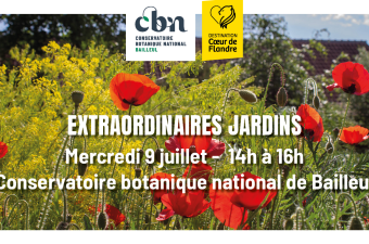 Sortie nature « Extraordinaires jardins  » - Bailleul (Nord)