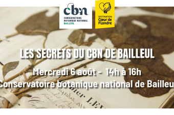 Sortie nature « Les secrets du CBN de Bailleul » - Bailleul (Nord)