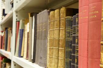 Pourquoi le CBN de Bailleul est-il souvent le dernier espoir des chercheurs en quête d'articles scientifiques ?