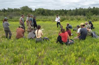 Formation interne - relevés phytosociologiques et détermination de végétations