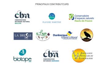 55 845 nouvelles données flore/habitat (avril à juin 2025) sur Digitale2