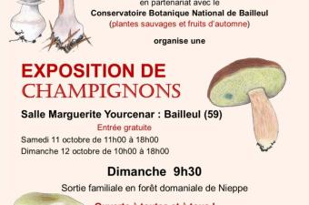 Exposition de champignons - 11 & 12 octobre 2025 - Bailleul
