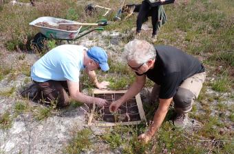 Deux bénévoles de la Société linnéenne Nord-Picardie venus prêter main forte au CBN de Bailleul et à l'ONF le jour de la mise en place des protocoles (c) COCQUEMPOT, M. 2025.