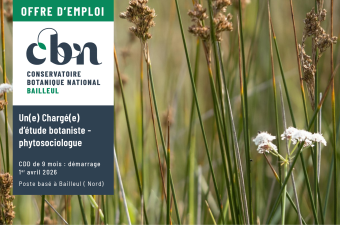 Offre d'emploi : Chargé(e) d’étude botaniste phytosociologue