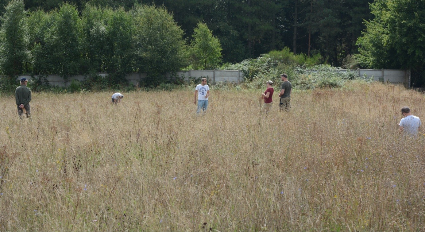 Récolte de messicoles sur une parcelle conservatoire expérimentale