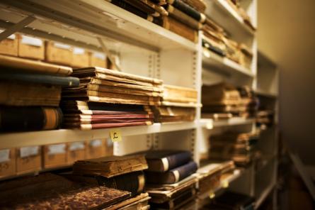 Rayonnage de la bibliothèque